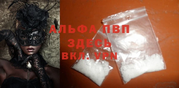 ECSTASY Белокуриха