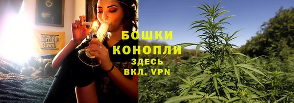 ECSTASY Белокуриха