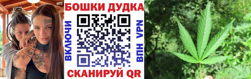 Конопля планчик  Старица 